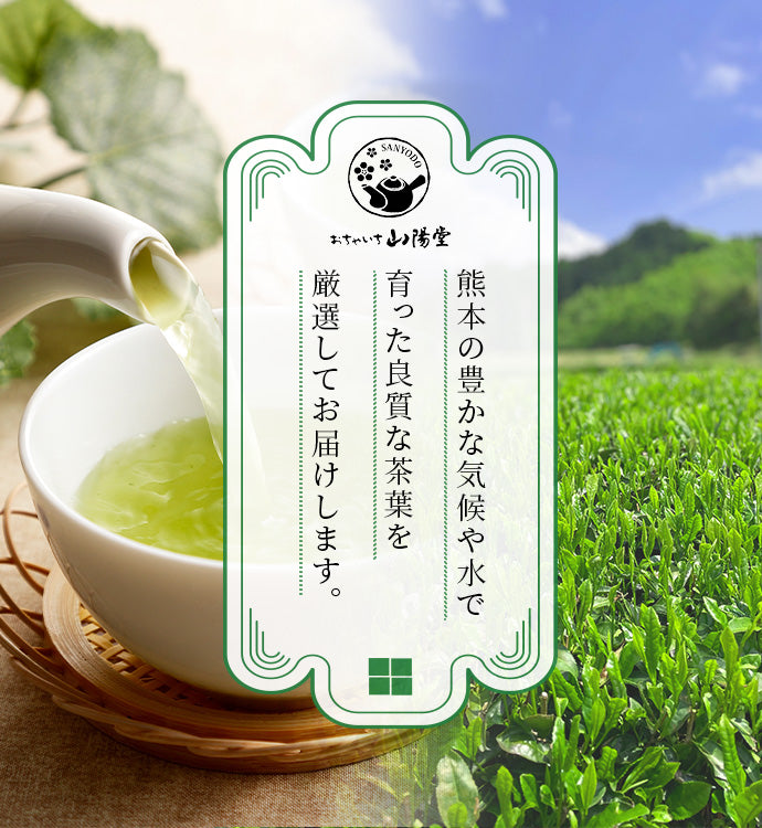 お茶が注がれている画像と茶畑の画像です。おちゃいち山陽堂の茶葉は熊本の茶葉から良質な茶葉を日本茶インストラクターが極選してお届けします。